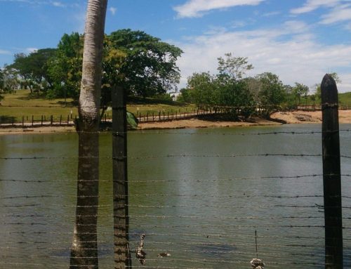 Los mejores podcasts sobre Pablo Escobar y el Cartel de Medellín